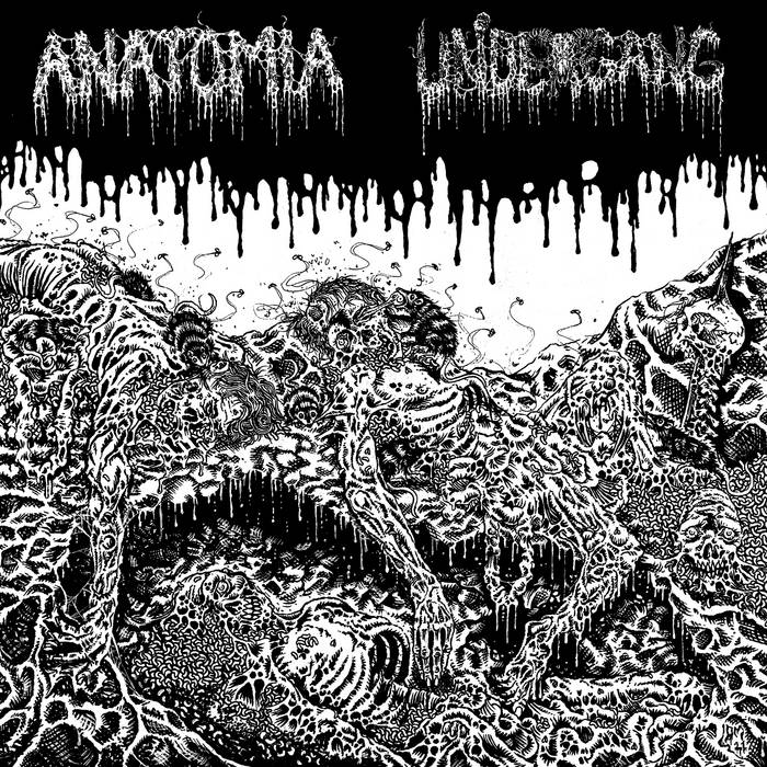 ANATOMIA - Undergang / Anatomia