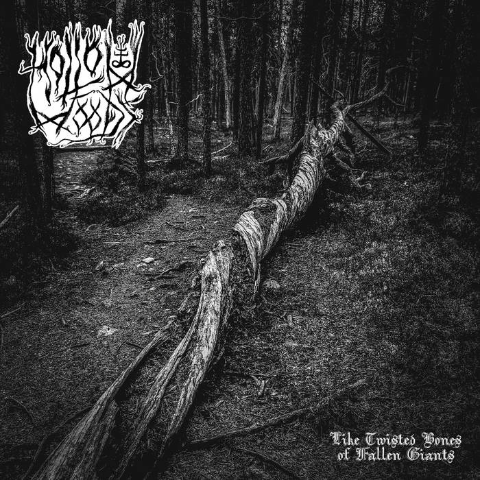 HOLLOW WOODS - Like Twisted Bones Of Fallen Giants