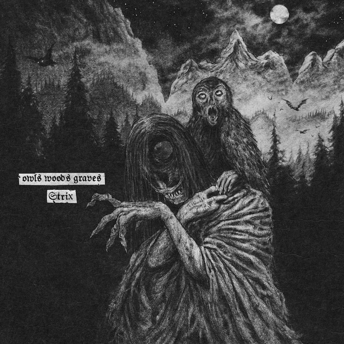 OWLS WOODS GRAVES - Strix