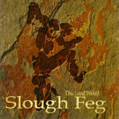 The Lord Weird Slough Feg