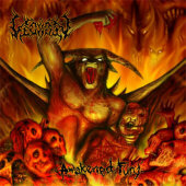 Awakened Fury