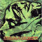 Conforming To Abnormality Conforming To Abnormality