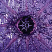 Watching The Thinker Watching The Thinker