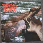 A Cockwork Whore Binge A Cockwork Whore Binge