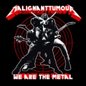 We Are The Metal
