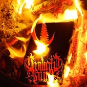 Spirit Of The Wildwood (Crown Of Asteria / Twilight Fauna)