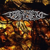 Recordings From The First Year