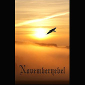 Novembernebel