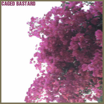 Straight Hate To God