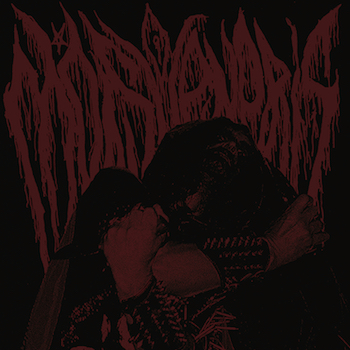 Mons Veneris Mons Veneris