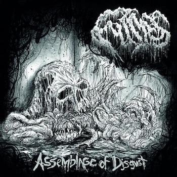 Assemblage Of Disgust