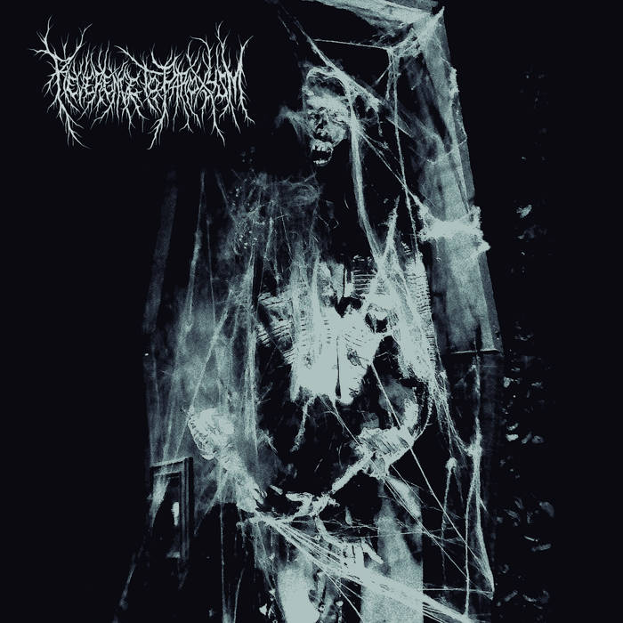 Cadaveric Continuity Of Unreal Perspectives