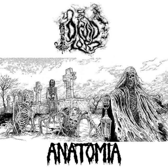 Druid Lord / Anatomia