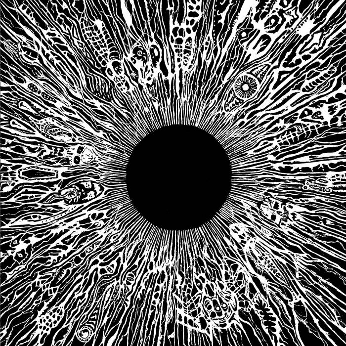 Storm The Void / Starving Grave Storm The Void / Starving Grave