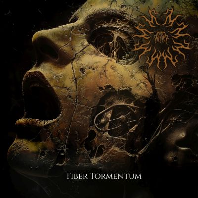 Fiber Tormentum