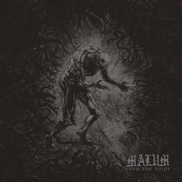 From The Voids From The Voids