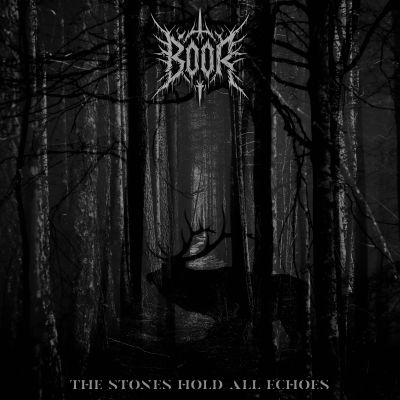 The Stones Hold All Echoes
