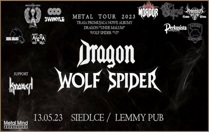 Dragon - Wolf Spider 2023